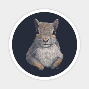 Gray Squirrel Magnet